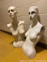 Pair of female bust mannequins side by side against a wall, showing front and side views with no arms or legs.
