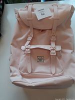 Front view of the pink backpack showing buckle strap design and brand patch.