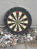 Front view of one M-Y dart board showing numbered wire frame and colored segments.