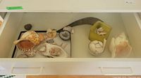 Drawer containing multiple sea shells and two gray quartz geodes showing crystals inside. Includes large conch shell and smaller spiral shells.