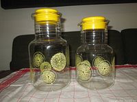 Two clear glass Pyrex pitchers with yellow citrus slice decals and yellow plastic lids on a red and white checkered cloth