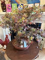 Full view of the artificial bonsai tree on a wooden table with decorative cards and figurines in the background