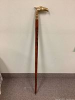 Full view of the wooden cane showing its length and brass bird handle