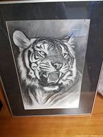 Front view of the matted and framed pencil drawing of a tiger head, capturing the detailed face of the tiger with an open mouth.