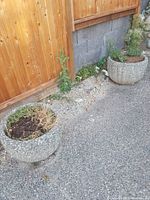 Two round cement planters sitting outside adjacent to a wooden fence on concrete ground, showing exterior texture and general condition
