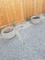 Photo showing two round cement planters placed on a gravel outdoor surface, next to a wooden fence, both containing plants or remnants of plants.