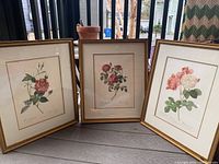 Three framed botanical rose prints displayed standing on floor indoors, showing each floral artwork in a gold frame with glass.