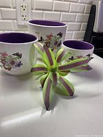 Three white ceramic planters with purple interiors and butterfly/flower designs, plus a green and purple faux plant on a kitchen counter.