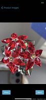 Front view of red crystal poinsettia in clear crystal pot