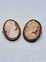 Front side view of two oval shell cameo pins showing carved female profiles in relief against natural shell backgrounds with metal bezels.