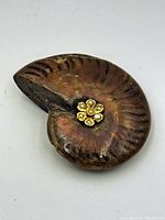 Front view of ammonite fossil shell showing gold-tone flower with pearl in center
