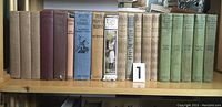 Wide shot of numerous vintage hardcover books in various colors and conditions on a wooden shelf, showing the overall collection.