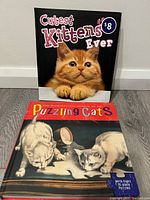 Photo showing both books standing upright, with 'Cutest Kittens Ever' featuring an orange tabby kitten on the cover and 'Puzzling Cats' with illustrated cats on its cover.