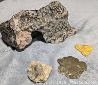 Four pieces comprising three minerals and one barnacle displayed on a light gray surface: a large dark irregular mineral, a bright yellow mineral, a silver metallic flower-shaped mineral, and a small barnacle shell.