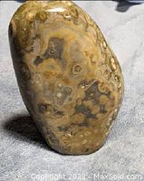 Front view of the Leopard Jasper polished rock showing its unique spotted and circular pattern in beige and brown tones under natural light.