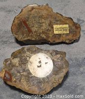 Two polished dinosaur fossil pieces placed on a grey fabric surface showing distinct patterns and one with a metal label.