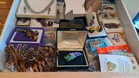 Drawer with various costume jewelry pieces including necklaces, earrings, brooches, pins