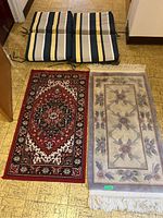 Two rugs and two patio chair cushions on floor