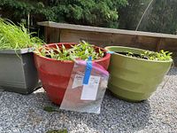 Three plastic garden planters side by side containing soil and green plants outdoors on gravel