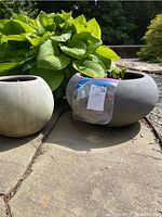 Photo showing two round garden planters side by side on stone and gravel ground. One planter is larger, dark grey and bowl-shaped. The other is smaller, light grey and more upright. Both have soil and plants inside. Leaves from plants extend above the rim.