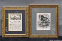 Both framed antique natural history prints side by side showing size and frame condition