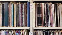 Metal shelf with two rows of Laserdisc sleeves