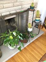 Photo of live plants and multi-tier metal plant stand with several potted cactus plants and leafy houseplants around a fireplace hearth.