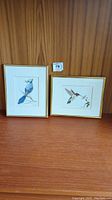 Two framed bird prints, a Blue Jay and a hummingbird, shown side by side.