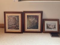 Three framed prints lined up against the wall on carpeted floor, two larger prints on left and one smaller on right.