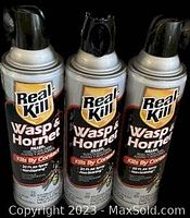 Front view of three Real Kill Wasp & Hornet Killer 15 oz spray cans showing labels and spray nozzles