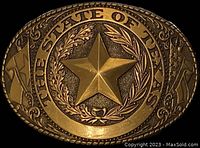 Front view showing 3D raised Lone Star at center, 'The State of Texas' text, Texas and American flags, and detailed rope edge on the gold tone metal belt buckle.
