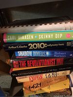 Stack of books showing titles including Skinny Dip by Carl Hiaasen, 2010: Odyssey Two by Arthur C. Clarke, Shadow Divers by Robert Kurson, The Revolutionist by Robert Littell, and The 100 Most Influential Women of All Time by Deborah G. Felder.