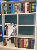Shelf with hardback books, a few paperback books including Life Sinatra, and various genres.