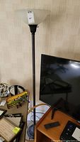 Full view of black metal floor lamp with frosted glass shade beside TV and table