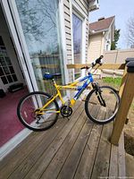 Full side view of bike showing yellow and blue frame, black tires, and bike height.