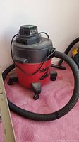 Shop-Vac 4 gallon wet/dry vacuum cleaner with hose on pink carpeted floor, showing side and front angles of the unit.