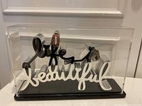 Front view of sculpture inside clear acrylic case on black base