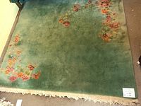 Top-down view of green plush rug showing overall floral design and fringe