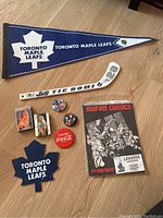 Overview of the Tie Domi signed hockey stick, two Toronto Maple Leafs pennants, four buttons, two decks of Sunshine Girls cards, and Marvel Comics flyer inside a paper shop bag.