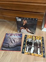 Photo of three vinyl LP albums laid on wooden floor: Tina Turner "Private Dancer," Glass Tiger "The Thin Red Line," and another Glass Tiger album "Diamond Sun."