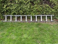Full view of aluminum extension ladder laid on grass beside hedge showing its full length and construction