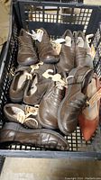 Lot of nine pairs of classic women shoes in brown shades inside a black plastic crate.