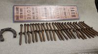 Photo showing 24 rusty railroad spikes, one rusty horseshoe, and a farm-themed wooden wall sign with text.