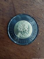 Obverse side showing Queen Elizabeth II profile, year 2022, and black outer ring.