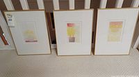 Photo showing three framed and matted art prints arranged on a carpet, each featuring different floral compositions.