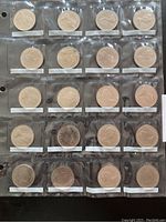 20 Canadian one dollar coins in clear plastic sleeves showing obverse and reverse details.