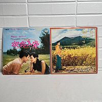Two vintage Chinese vinyl records displayed side by side on a white surface, showcases the cover art of a romantic couple and a scenic wheat field.