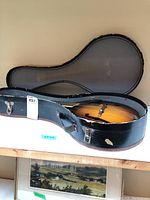 Open black hard shell case with gray soft lining, mandolin inside showing some aging and wear