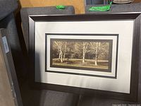 Full view of framed print depicting birch trees in a natural setting with matting and frame visible