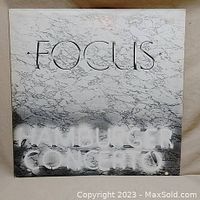 Front cover of the album showing the band name 'FOCUS' and embossed title 'HAMBURGER CONCERTO' on a marble texture background.